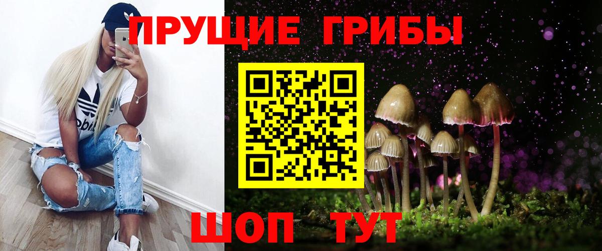 Вятские Поляны  где можно купить   Псилоцибиновые грибы GOLDEN TEACHER  Вход с VPN  Псилоцибиновые грибы GOLDEN TEACHER 