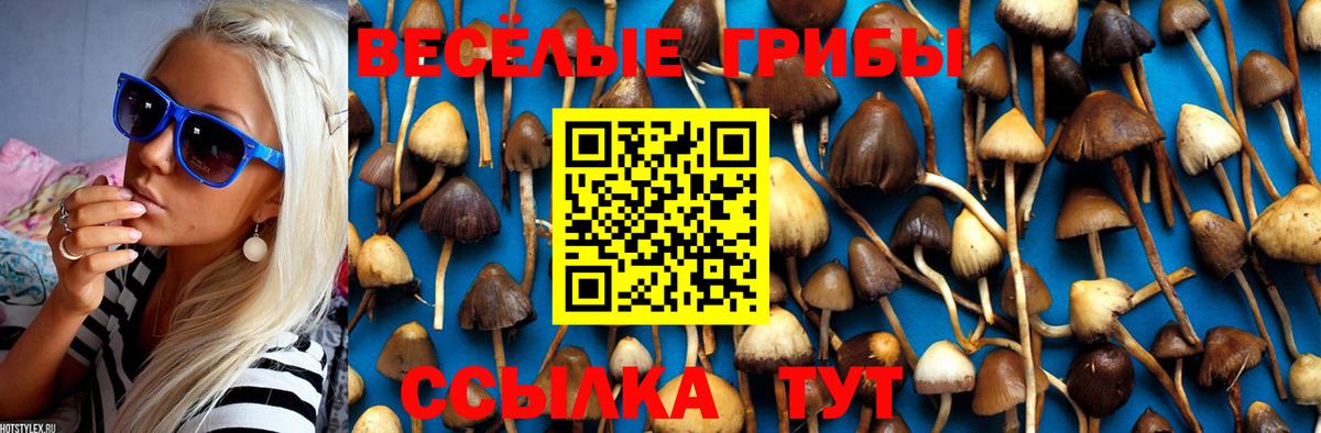 Псилоцибиновые грибы Psilocybine cubensis Вятские Поляны